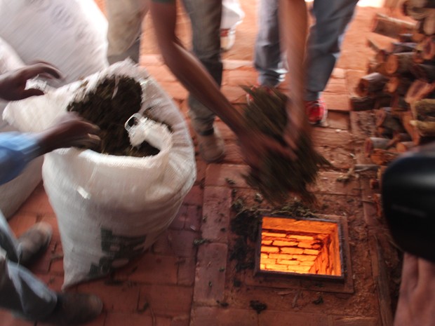 Foram incinerada cerca de 5 toneladas de maconha (Foto: Ellyo Teixeira/G1)