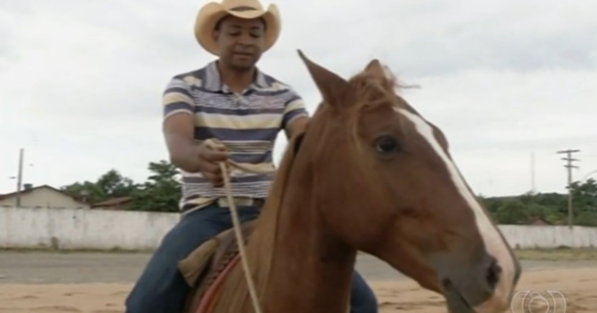 Carinho faz parte de técnica para adestrar cavalos em Uruaçu, Goiás - Globo.com