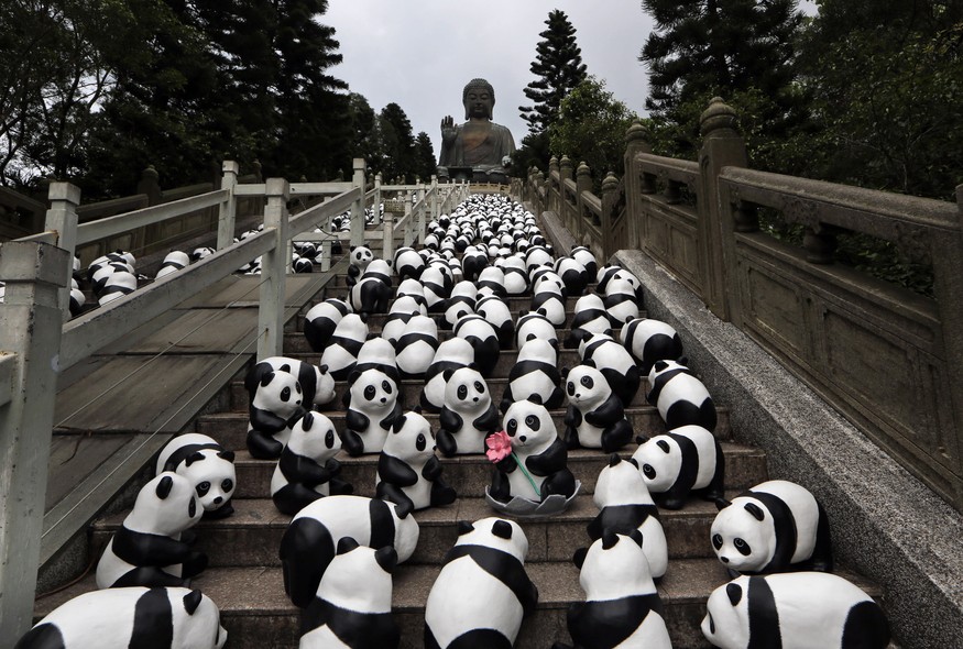 Pandas de papel machê invadem escadaria de templo budista na ilha de Lantau, a maior de Hong Kong. Ursinhos são criação do artista francês Paulo Grangeon