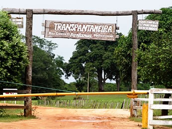 Rodovia Transpantaneira (Foto: Marcos Bergamasco/Secom-MT)