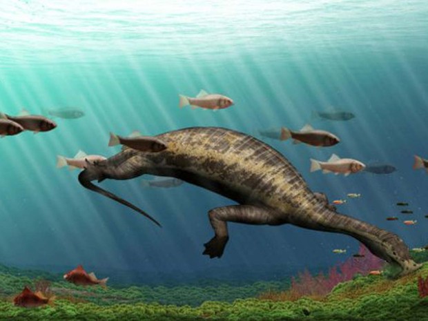 Estudo de fósseis pode ajudar a compreender período de extinção em massa na Terra (Foto: IVPP/ BBC)