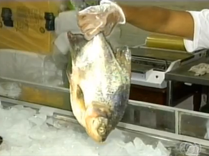 Preço dos peixes pode aumentar a qualquer momento, segundo gerente de supermercado (Foto: Reprodução/TV Anhanguera)