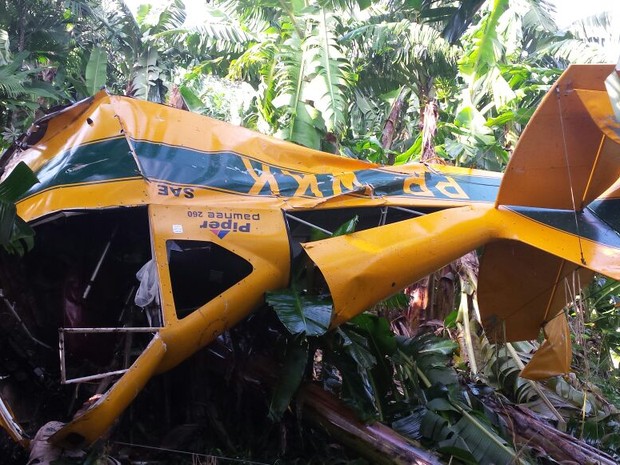 Avião foi encontrado por volta das 8h20 desta quarta-feira (Foto: Corpo de Bombeiros/Divulgação)