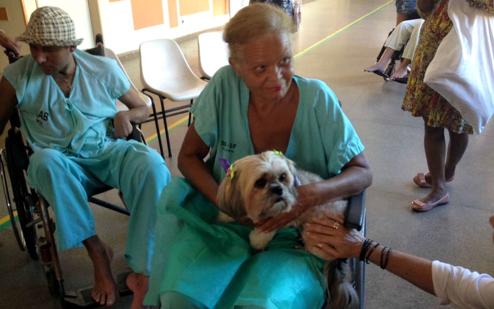 Pacientes do Hospital de Apoio, no DF, recebem visita de pets como parte de terapia (Foto: Yasmim Perna/G1)