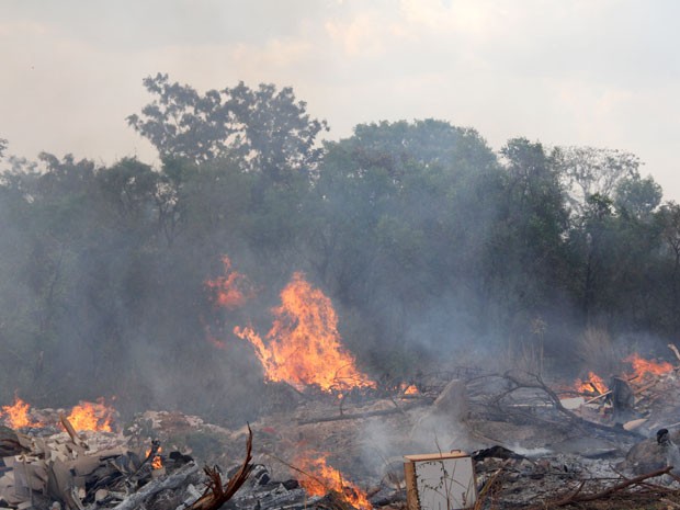 Incêndio atinge Parque Nacional em Brasília (Foto: Vianey Bentes/TV Globo)