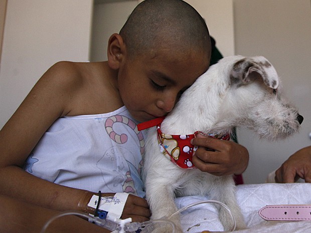 Câncer cães (Foto: Dolores Ochoa/AP)