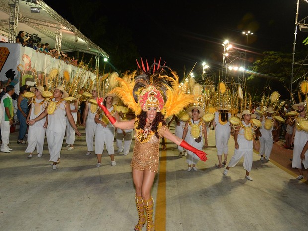 Carnaval Cubatão 2016; GRES Independência (Foto: Aderbau Gama / Prefeitura de Cubatão)