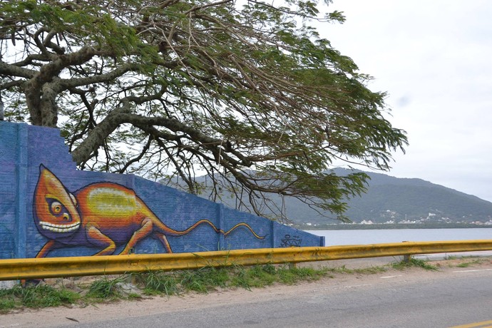 Rizo deixa ruas de Florianópolis mais bonitas (Foto: Divulgação)