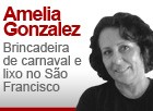 Brincadeira de carnaval e lixo no São Francisco (Arte G1)