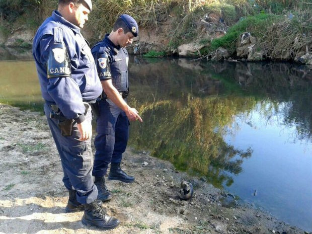 Guardas de Jundiaí encontram crânio às margens de rio (Foto: Divulgação/Guarda Municipal)