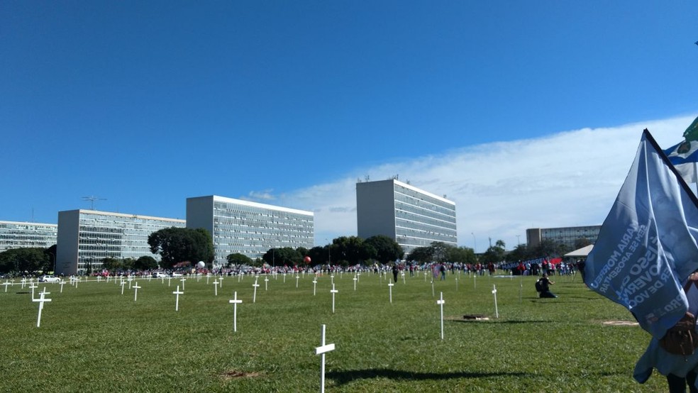 Cruzes espalhadas em gramado em frente ao Congresso Nacional durante ato contra reforma da Previdência (Foto: Vinicius de Souza/G1)