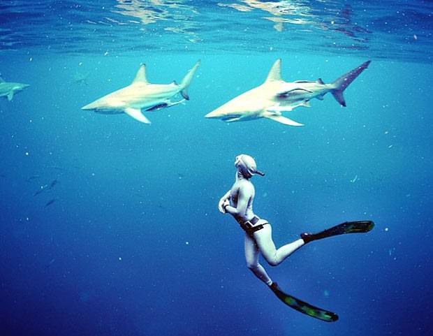 Mergulhadora nada ao lado de tubarões em imagem da dinamarquesa Annelie Pompe (Foto: Reprodução / Instagram)