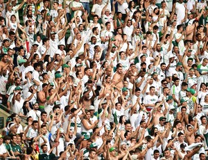 Torcida Palmeiras X Vitória (Foto: Marcos Ribolli) Torcida Palmeiras X Vitória (Foto: Marcos Ribolli)