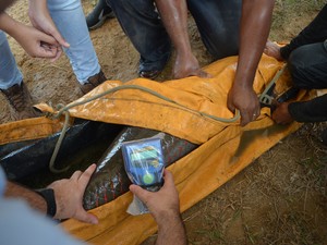 Leitor recebe informações do chip e informa qual o 'registro geral' do animal (Fot Emily Costa/ G1 RR)