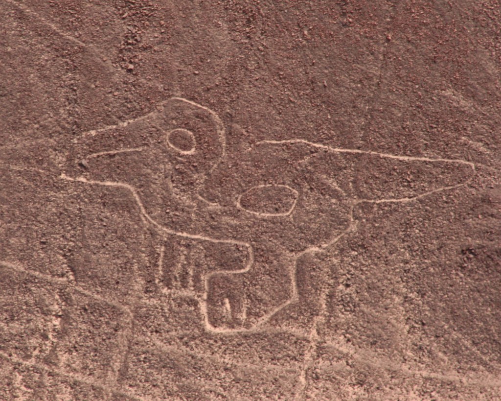 Resultado de imagem para nazca