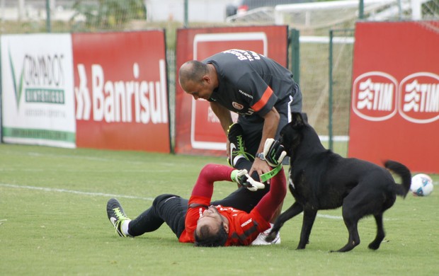 Cão rouba a cena em treino do Inter (Foto: Diego Guichard)