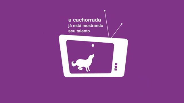 Talento Animal (Foto: Reprodução/TV Tribuna)