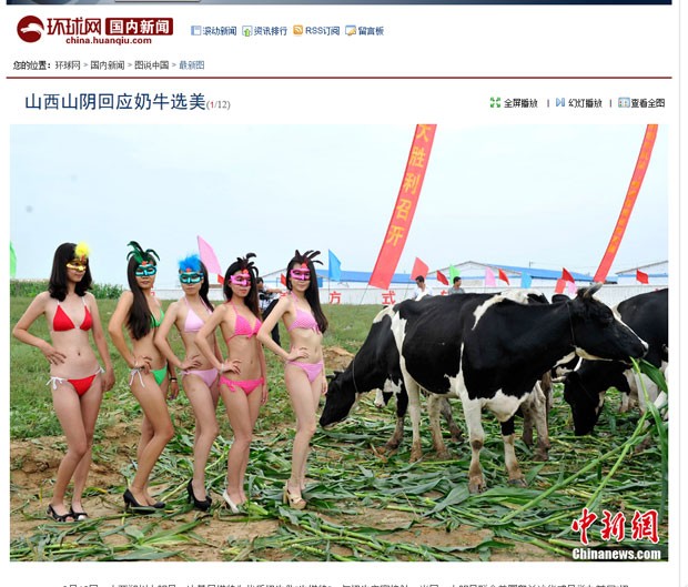 Modelos posaram de biquíni para divulgar um concurso de beleza bovino. (Foto: Reprodução)