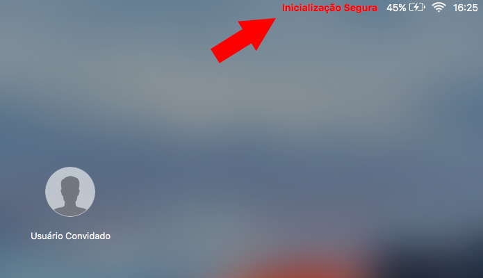 Inicialização segura pode causar problemas gráficos (Foto: Reprodução/Paulo Alves)