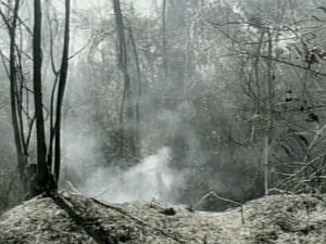 Incência acabou atingindo reservatório de água (Foto: Reprodução/ TV Gazeta)