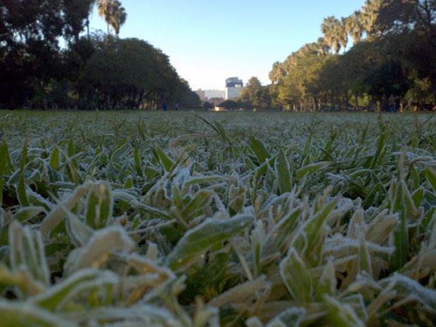 Parque da Redenção em Porto Alegre amanheceu coberto de gelo neste sábado (Foto: Everton Chrisostomo/RBS TV)