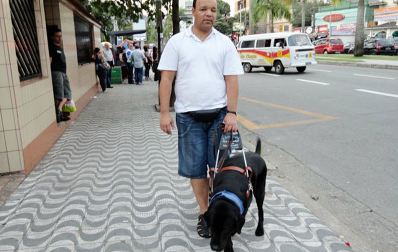 Treinar um cão guia no Brasil custa até R$ 30 mil - Revista Globo Rural