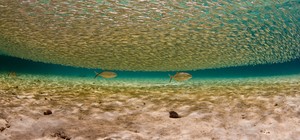 Conhece um destino que merece
ser visitado? Envie sua dica (Clécio Mayrink / VC no G1)