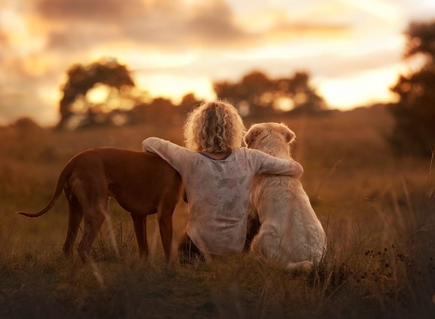 Cachorros são como crianças: trazem alegria ao lar (Foto: The Odissey Online/ Reprodução)