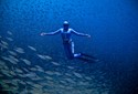 Recordista mundial de apneia indica local para mergulho recreativo 