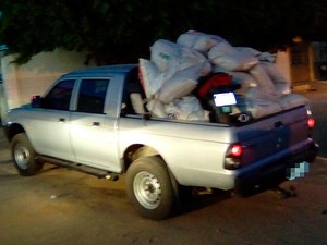 Sementes de maconha encontradas em propriedade no norte da Bahia (Foto: PM / Divulgação) Sementes de maconha encontradas em propriedade no norte da Bahia (Foto: PM / Divulgação)