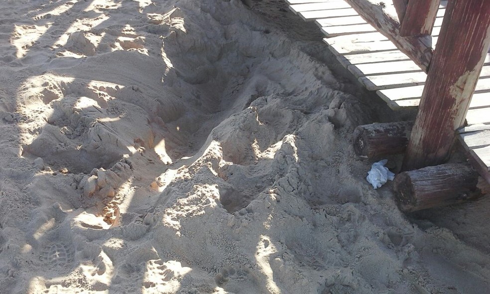 Corpo estava enterrado na areia da praia (Foto: Gilberto Morais/Inter TV)