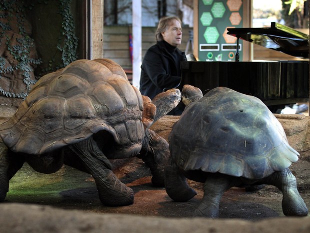 Pianista Richard Clayderman toca para incentivar o acasalamento de tartarugas no zoológico de Londres nesta quinta-feira (7) (Foto:  Lewis Whyld/AP)