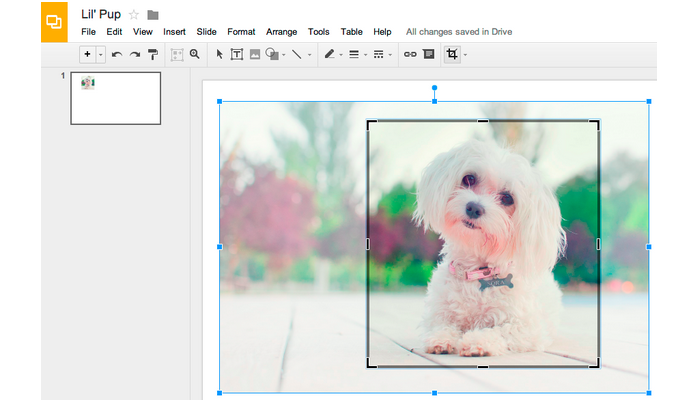Agora é possível cortar imagens dentro de apresentações e desenhos no Drive (Foto: Divulgação/Google)