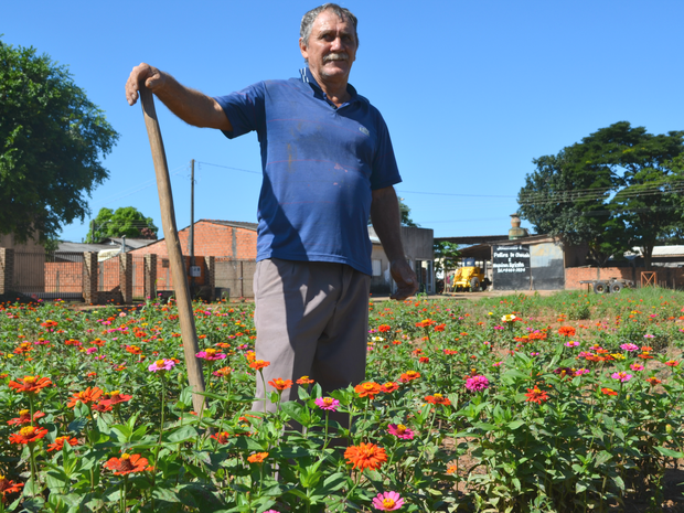 G1 Morador Transforma Terreno Baldio Em Jardim De Flores Em Vilhena