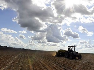 Venda futura de soja chega a recorde de 61% da safra a ser colhida em MT (Foto: Leandro J. Nascimento/G1)