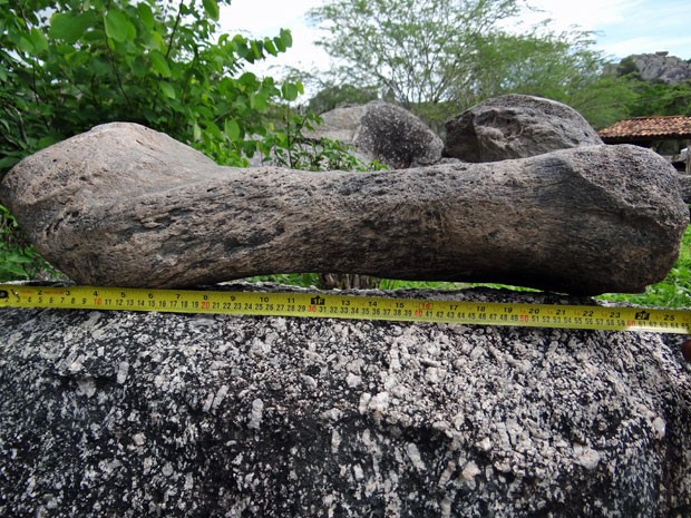 Fósseis encontrados no local eram, segundo pesquisadores, de animais do tamanho de um Fusca (Foto: Luna Markman / G1)
