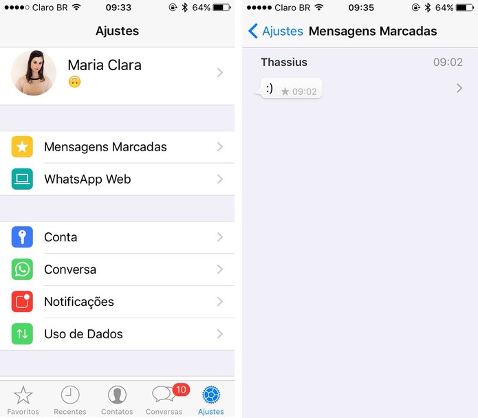 Atualização do WhatsApp para iPhone ganha novo menu de ajustes (Foto: Reprodução)