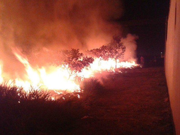 Incêndio em Vilhena (Foto: Corpo de Bombeiros/Divulgação)