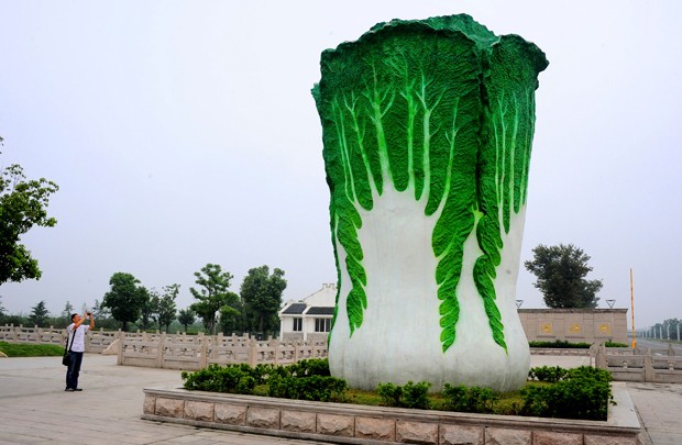 Uma empresa de agricultura ecológica de Suzhou, na província chinesa de Jiangsu, criou um monumento inusitado: uma escultura gigante de uma couve-chinesa. (Foto: Reuters)
