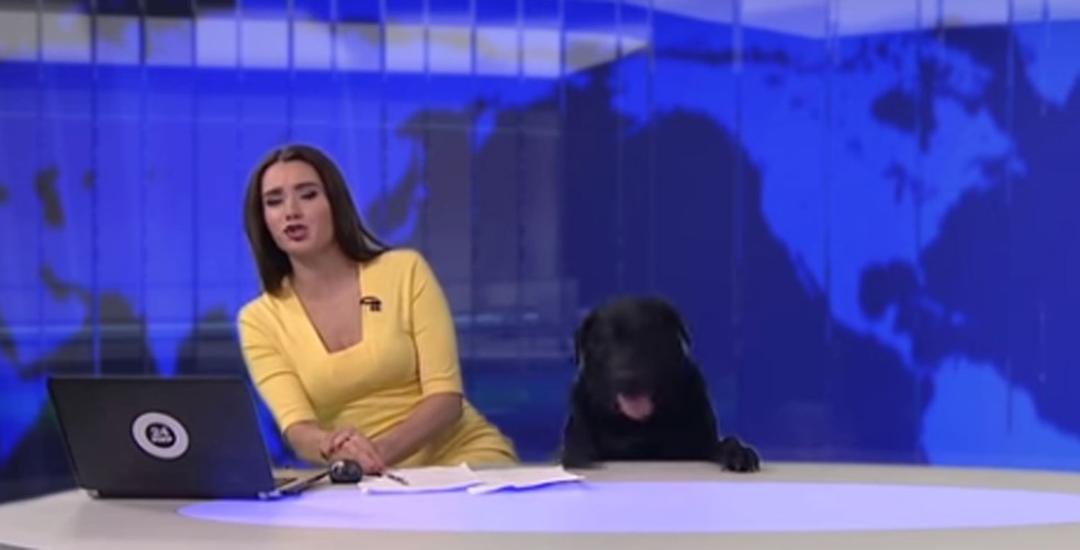 Cão interrompe telejornal ao vivo na Rússia (Foto: World 24/Twitter)