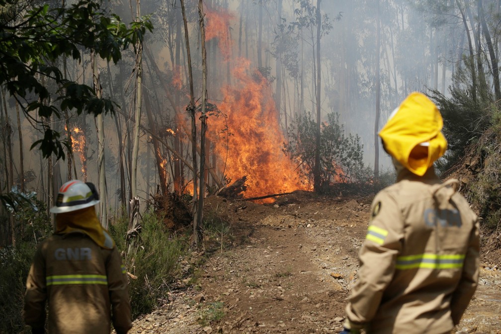 Bombeiros combatem incêndio florestal em Louriceira, Portugal (Foto: Reuters/Miguel Vidal)