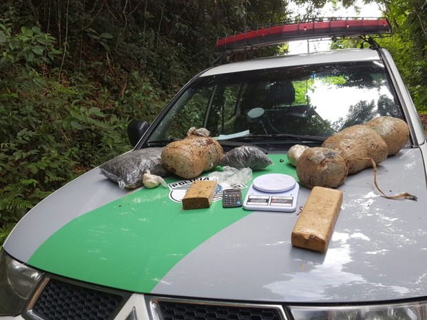 Polícia Ambiental encontrou drogas e armadilhas em mata de Registro, SP (Foto: Divulgação/Polícia Ambiental)