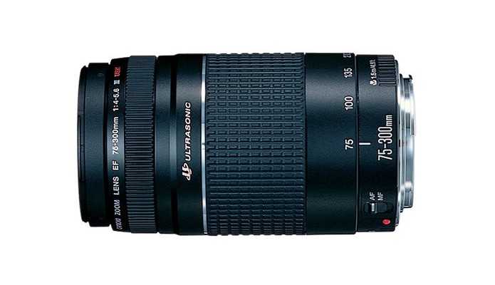 Lente zoom telefoto EF 75-300 mm f/4-5.6 (Foto: Divulgação/Canon)