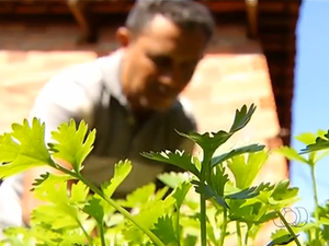 O vigilante Olcione Ferrer é apaixonado pela horta que cultiva no fundo de casa há quatro anos (Foto: Reprodução/TV Anhanguera)