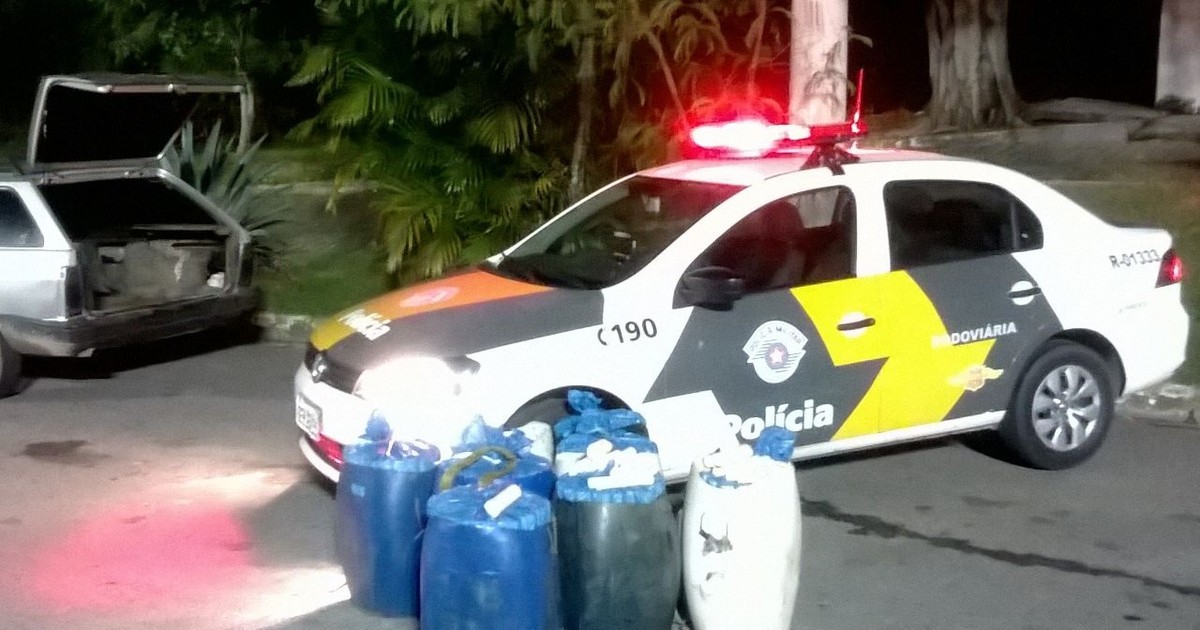 Polícia apreende 400 Kg de palmito na rodovia dos Tamoios em ... - Globo.com