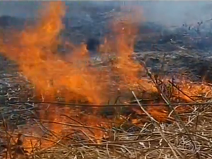 Incêndio destrói pelo menos 22 hectares na Serra do Carmo, em Palmas (Foto: Reprodução/Tv Anhanguera)