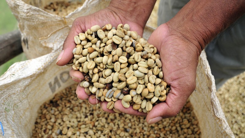 café-verde-commodity-agricola-grao (Foto: CIAT/CCommons)