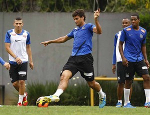 Willian José, atacante do Santos (Foto: Ricardo Saibun/Divulgação Santos FC)