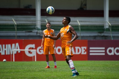 willian, volante, fluminense (Foto: Bruno Haddad/Fluminense FC)