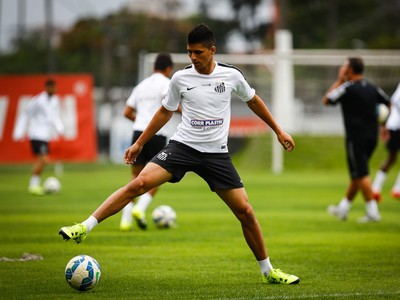 Daniel Guedes tem se destacado no Santos pelas assistências (Foto: Ricardo Saibun/Santos FC)